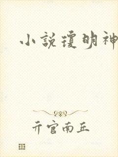 小说琼明神女录封面