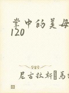 掌中的美母版主120