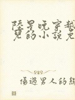 陆星晚穿越成婴儿的小说免费阅读全文