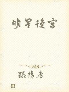 明星后宫