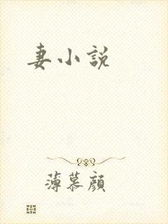 妻小说封面