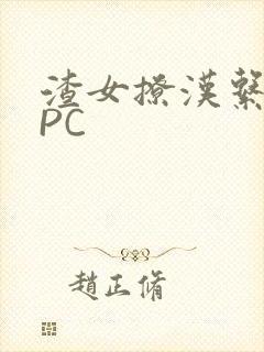 渣女撩汉系统NPC