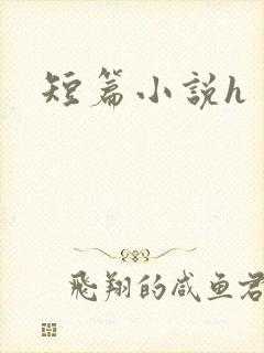 短篇小说h