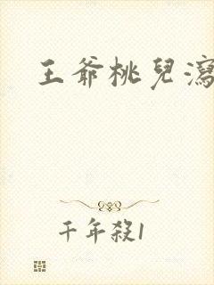 王爷桃儿泻了封面