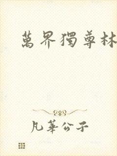 万界独尊林枫