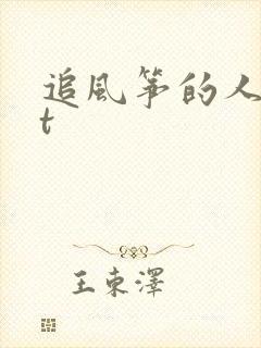 追风筝的人txt