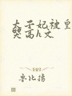 太子妃被皇上c哭高h文封面
