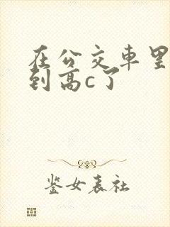 在公交车里c弄到高c了封面