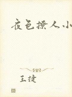 夜色撩人小说封面