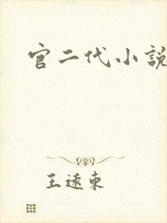 官二代小说封面