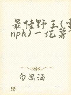 最佳野王(电竞nph)一坨薯饼