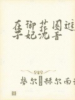 在御花园进入太子妃沈音