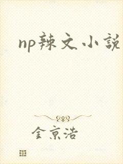 np辣文小说