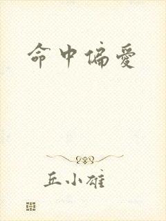 命中偏爱封面
