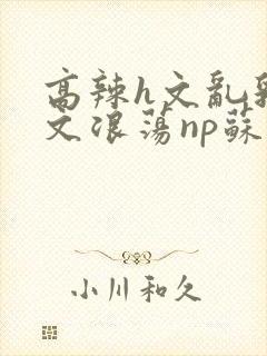 高辣h文乱乳h文浪荡np苏夏