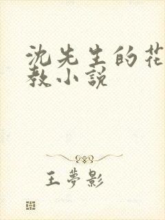 沈先生的花式管教小说