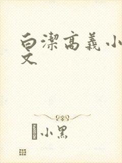 白洁高义小说全文