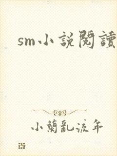 sm小说阅读