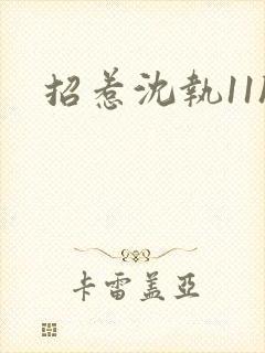 招惹沈执11h