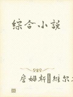 综合小说封面