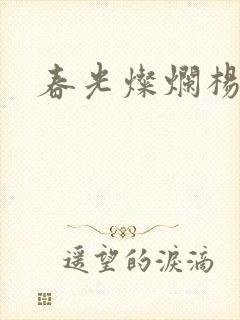 春光灿烂杨家将