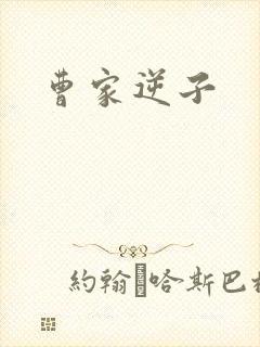 曹家逆子封面
