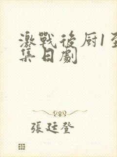 激战后厨1至5集日剧