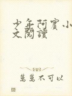 少年阿宾小说全文阅读封面