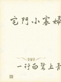 宅门小寡妇
