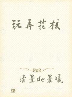 玩弄花核封面