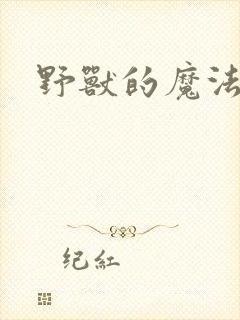 野兽的魔法师封面