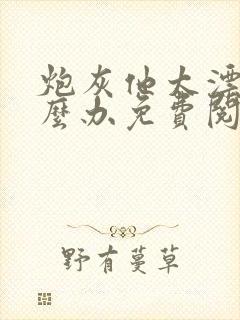 炮灰他太漂亮怎么办免费阅读