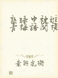 熟睡中被进了H青梅诱哄视频