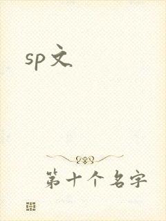 sp文封面