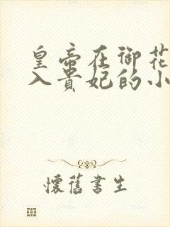 皇帝在御花园进入贵妃的小说