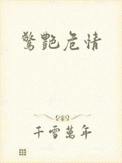 惊艳危情封面