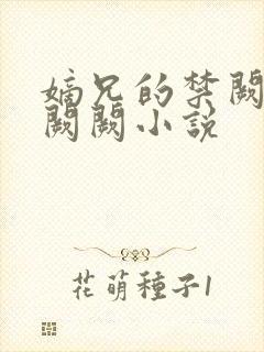 嫡兄的禁阙 华阙阙小说封面