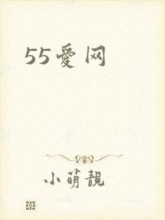 55爱网