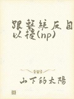 跟系统反目成仇以后(np)封面