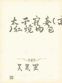 太子宠妾(高肉)红烧肉包封面