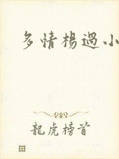 多情杨过小说
