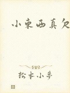 小东西真欠弄封面