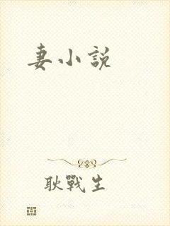 妻小说封面
