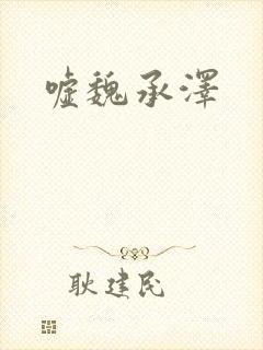 嘘魏承泽封面