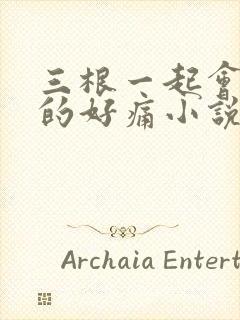 三根一起会坏掉的好痛小说