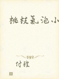 桃枝气泡小说