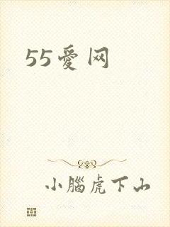 55爱网