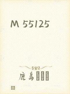 M 55125封面