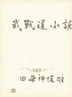 武战道小说
