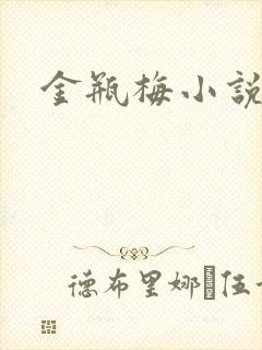 金瓶梅小说下载